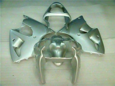 2000-2002 Silver Kawasaki Ninja ZX6R Fairings